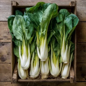 Pak Choi Chinese Cabbage Seeds - 150 Seeds, White Stem, Easy Grow Vegetable - Image 2