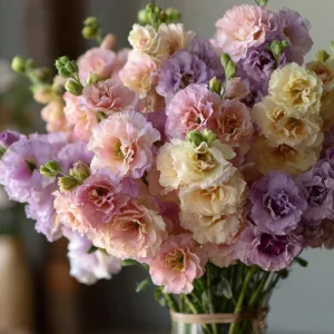 Pastel Mix Stock Flower Seeds - 25 Seeds, Sweet-Scented Edible Blooms - Image 1