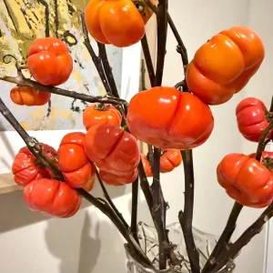 Pumpkin On A Stick Seeds - Solanum integrifolium Ornamental Eggplant - 15 Seeds Heirloom Variety - Image 2