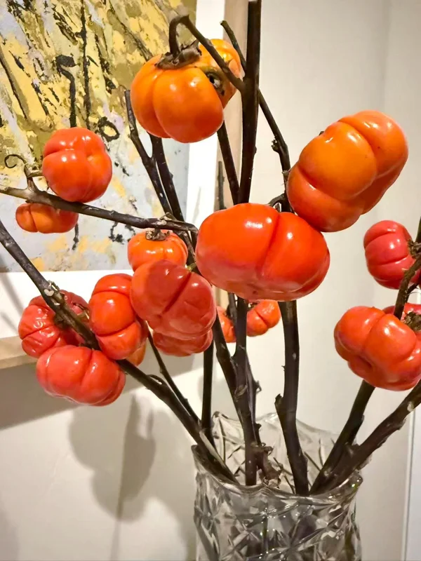 Pumpkin On A Stick Seeds - Solanum integrifolium Ornamental Eggplant - 15 Seeds Heirloom Variety - Image 2