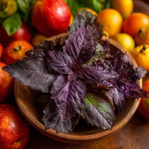 Purple Ruffles Basil Seeds - Heirloom Aromatic Herb, 150 Seed Packet, Outdoor - Image 3