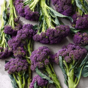 Purple Sprouting Broccoli Seeds - 150 Heirloom Winter Vegetable Seeds - Image 4