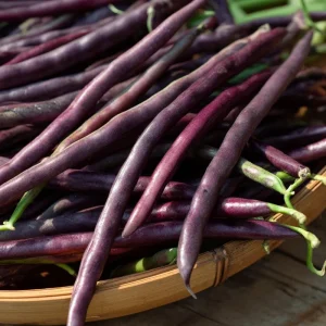 Purple Yard Long Bean Seeds - Vining Legume, Tender Purple Pods - 10 Seeds - Image 4