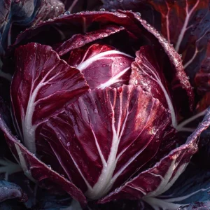 Radicchio Palla Rossa Seeds - 100 Count Heirloom Italian Chicory for Salads & Gardens - Image 3