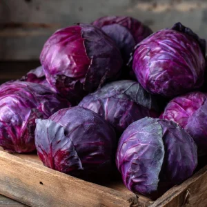 Red Acre Cabbage Seeds - Heirloom Vegetable Seeds, Sweet & Crisp, 150 Seeds - Image 2