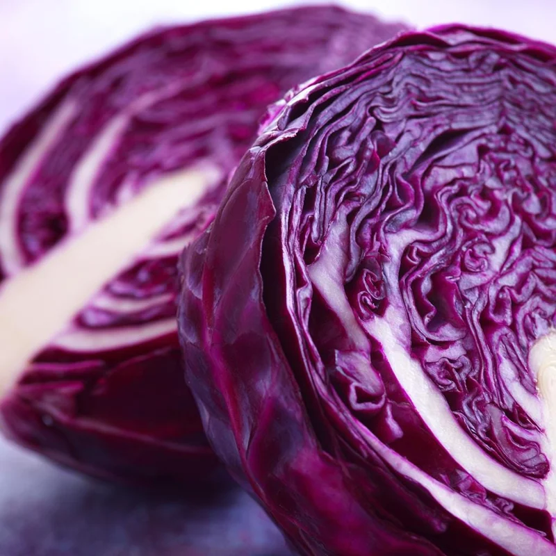 Red Acre Cabbage Seeds - Heirloom Vegetable Seeds, Sweet & Crisp, 150 Seeds - Image 4