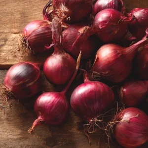 Red Creole Onion Seeds - 200 Count Heirloom Short Day Allium cepa for Gardens - Image 1