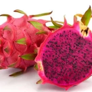 Red Dragon Fruit Live Plant – Pitaya Fruiting Plant – 4 inch Pot - Image 1
