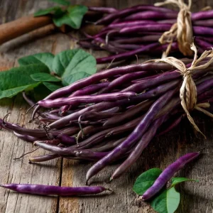 Royal Burgundy Bush Bean Seeds – Heirloom Purple Green Beans – 50 Seed Packet - Image 1