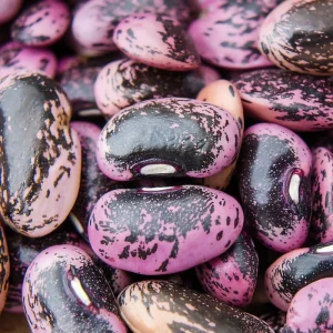 Scarlet Runner Bean Seeds - 15 Count Packet - Heirloom, Edible, Climbing Vines - Image 2