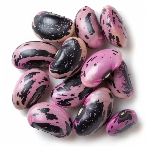 Scarlet Runner Bean Seeds - 15 Count Packet - Heirloom, Edible, Climbing Vines - Image 5