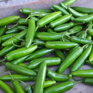 Serrano Pepper Live Plant - 2 Plants, 100 Days Old, 4-Inch Pot, Hot Peppers for Harvesting - Image 7