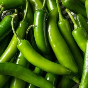 Serrano Pepper Live Plant - 2 Plants, 100 Days Old, 4-Inch Pot, Hot Peppers for Harvesting - Image 8