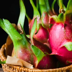 Set of 2 Dragon Fruit Cuttings Mix - Live Plant Starter Kit, Indoor/Outdoor - Image 1