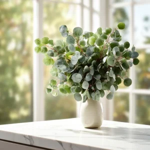 Silver Dollar Eucalyptus Seeds - 10 Fragrant Eucalyptus Polyanthemos Seeds - Image 1