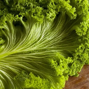 Southern Giant Curled Mustard Greens Seeds – 300 Heirloom Seeds – Fast Growing Leafy Greens - Image 3