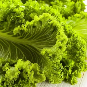 Southern Giant Curled Mustard Greens Seeds – 300 Heirloom Seeds – Fast Growing Leafy Greens - Image 1