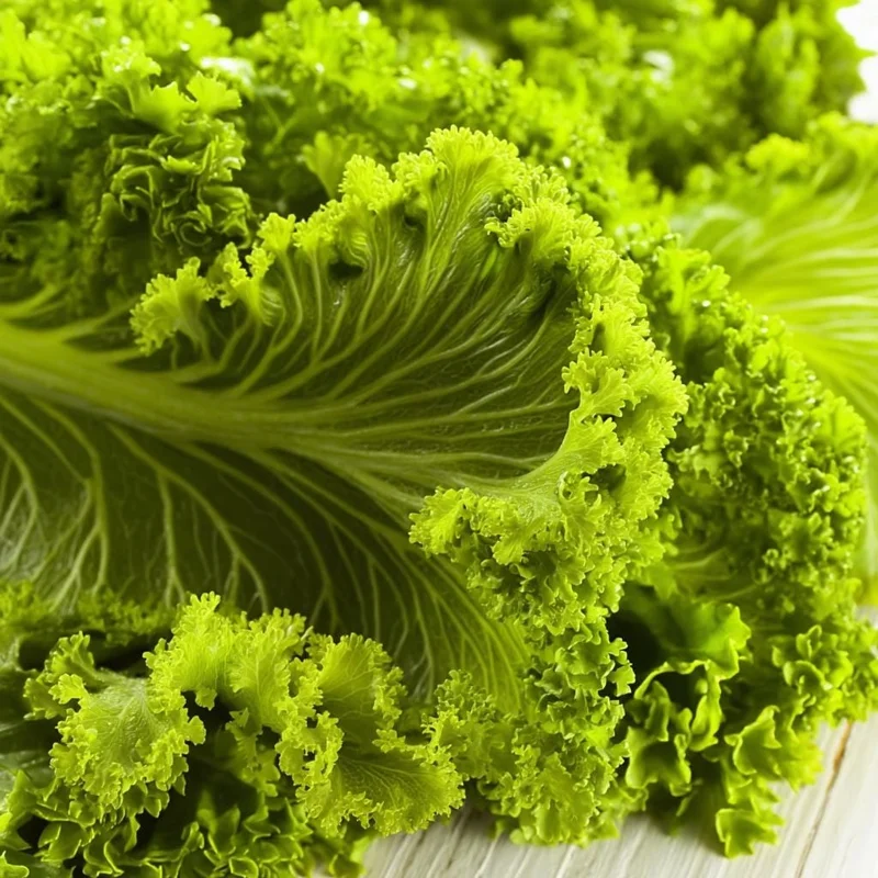 Southern Giant Curled Mustard Greens Seeds – 300 Heirloom Seeds – Fast Growing Leafy Greens - Image 1