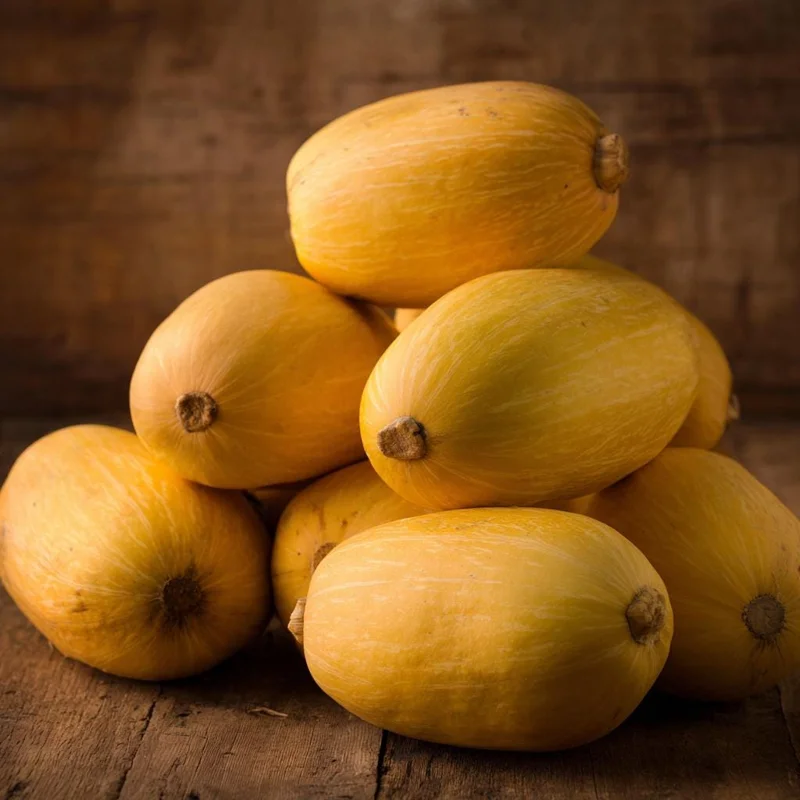 Spaghetti Winter Squash Seeds - 25-Count | Easy to Grow for Gardens & Containers - Image 2