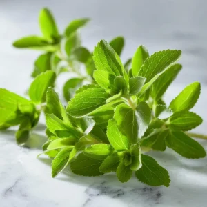 Stevia Sugar Leaf Seeds - Heirloom Natural Sweetener Plant, 50 Seeds - Image 2