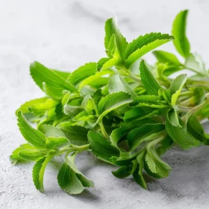 Stevia Sugar Leaf Seeds - Heirloom Natural Sweetener Plant, 50 Seeds - Image 1