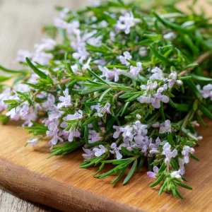 Summer Savory Herb Seeds - 200 Heirloom Culinary Seeds for Garden & Cooking - Image 1