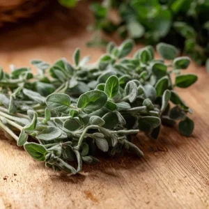 Sweet Marjoram Seeds - Origanum majorana Heirloom Culinary Herb (Approx. 150 Seeds) - Image 3