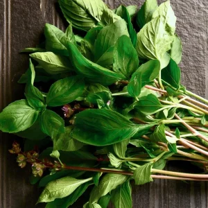 Thai Basil Seeds - 250 Heirloom Aromatic Culinary Herb Seeds for Cooking - Image 2