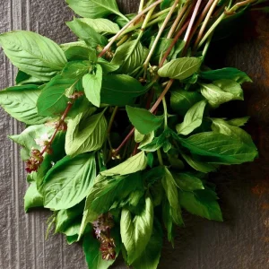 Thai Basil Seeds - 250 Heirloom Aromatic Culinary Herb Seeds for Cooking - Image 4
