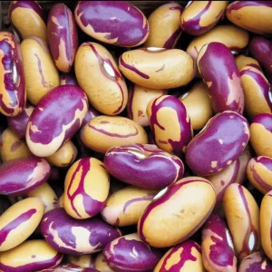 Tiger's Eye Bean Seeds - Heirloom Bush Bean, 25 Seeds, Speckled Pods, Nutty Flavor - Image 1