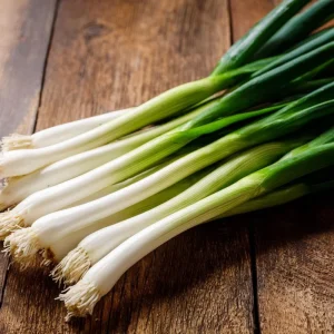 Tokyo Long White Bunching Onion Seeds - 200 Count, Mild Flavor, Heirloom - Image 1