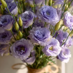 Voyage 2 Lavender Lisianthus Seeds - 25 Eustoma Grandiflorum Seeds for Outdoor Gardens - Image 3