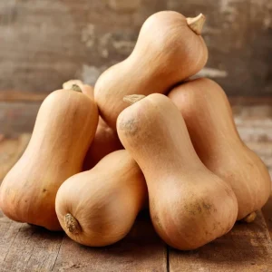 Waltham Butternut Squash Seeds - 25 Seeds - Heirloom Sweet Nutty Winter Squash for Gardens - Image 3