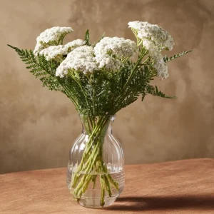 White Yarrow Seeds - 500 Achillea millefolium Perennial Flower Seeds, Attracts Pollinators - Image 3