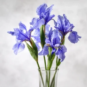 Wild Blue Iris Seeds - Rocky Mountain Iris, 25 Seeds, Blue-Violet Blooms, Outdoor Perennial - Image 1