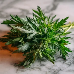 Yomogi Japanese Mugwort Seeds - 30 Heirloom Artemisia princeps Seeds for Herb Garden - Image 4