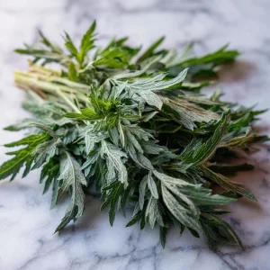 Yomogi Japanese Mugwort Seeds - 30 Heirloom Artemisia princeps Seeds for Herb Garden - Image 5