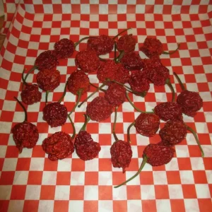 24 Dried Carolina Reaper Pods - Super Hot Pepper for Extreme Heat Cooking - Image 1