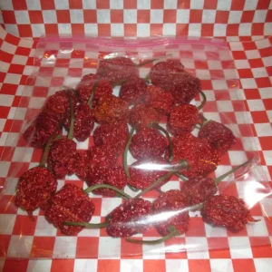 24 Dried Carolina Reaper Pods - Super Hot Pepper for Extreme Heat Cooking - Image 2