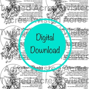 Air Plant Care Sheet Digital Download - Printable Tillandsia Care Guide PDF - Image 2