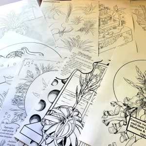 Air Plant Educational Coloring Sheets - Set of 10 Digital Download Tillandsia - Image 3