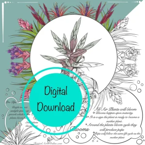 Air Plant Educational Coloring Sheets - Set of 10 Digital Download Tillandsia - Image 1