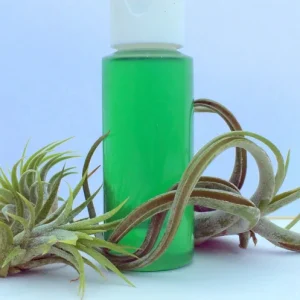 Air Plant Fertilizer Liquid Food for Tillandsia - 2oz Concentrated Formula - Image 1