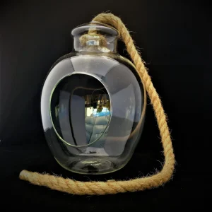 Air Plant Glass Terrarium with Rope - Fully Assembled Live Air Plants for Hanging or Tabletop Display, 11 inch - Image 4