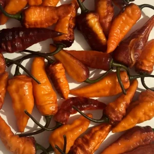 Black Panther Super Hot Pepper Live Plant - Lot of 3, 75+ Days Old - Image 4