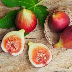 Brown Turkey Fig Tree Live Plant - 5-9
