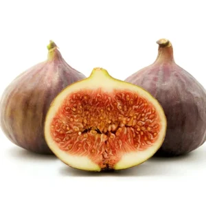 Brown Turkey Fig Tree Live Plant - 5-9" Tall, Cold Hardy Zones 7-9, Sweet Double Harvest Fruit - Image 1