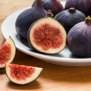 Chicago Hardy Fig Tree Live Plant 5-9