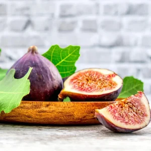 Chicago Hardy Fig Tree Live Plant 5-9" Tall - Ficus carica - Cold Hardy Edible Fruit Zone 5-10 - Image 1