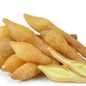 Finger Root Live Plant – Chinese Ginger Starter – Krachai Herb – 4-6 Inch Tall – Indoor/Outdoor - Image 3